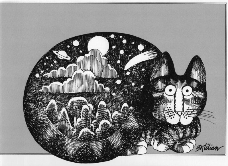 A wide-eyed cat with a body that contains a dreamlike night sky filled with stars, clouds, trees, and planets.