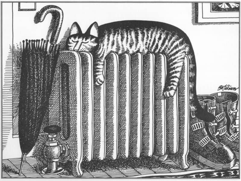 A striped cat naps sprawled across the top of a radiator, surrounded by boots, an umbrella, and winter gear.