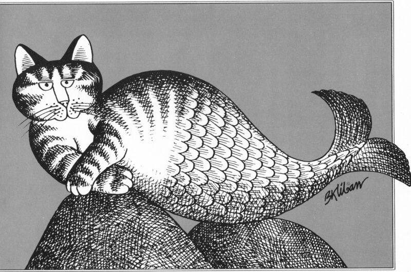 A striped cat with a mermaid tail lounges on sea rocks against a plain gray background, staring with a bored expression.