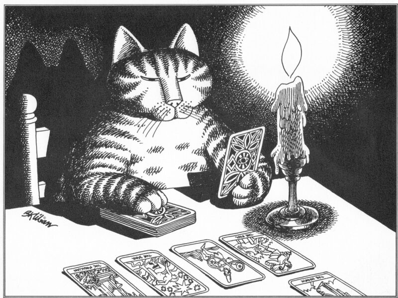 A cat sits at a table by candlelight reading tarot cards, with five cards laid out in front and eyes closed in concentration.