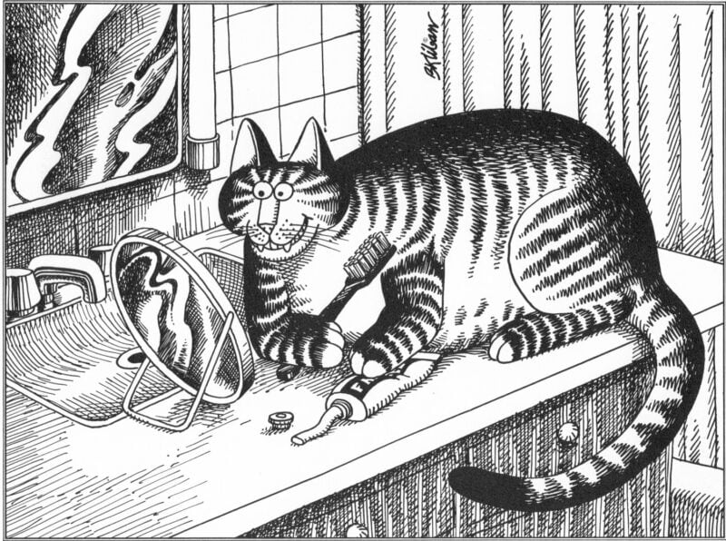 A striped cat lounges on a bathroom sink holding a toothbrush, with a small mirror and tube of toothpaste nearby.